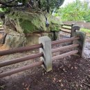 놀멍놀멍 이미지