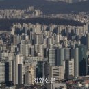 서울소셜스탠다드