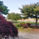 꽃지 화이트 펜션 이미지