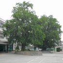 경북항공고등학교 이미지