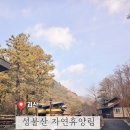 비에이치씨BHC(충청북도괴산점) | 충북 괴산 성불산 자연휴양림 미선나무 숙박 후기