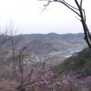 신촌마을세천 이미지