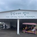 승마체험코스 이미지