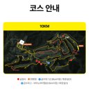 함께 즐기는 리듬 스포츠 A | [원주] 2026 오크밸리 힐스 나이트 레이스 10K 후기｜야간 러닝