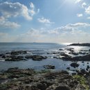 마레마레송정 이미지