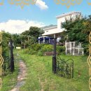 강아지 보호센터 이미지