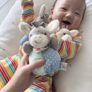 오감만족 전통 인두화 | 10만원 이하 출산선물 추천 슈테른탈러 오감발달 3종세트 애착인형 강추