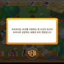 요리요리 이미지