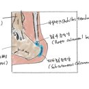 김귀룡한의원 이미지