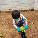 신애 어린이집 이미지