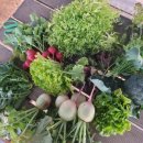 입동농장 이미지