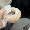 구영애여행 | 바보의 2박 3일 제주여행