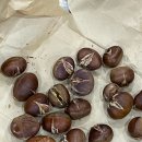 안민태권도장 이미지