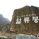 광운관광농원 이미지