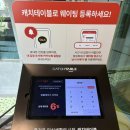 춘천 모임하기 좋은 탑플레이스 다이닝 파스타 맛집 추천