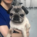 테크노연합 동물병원 이미지