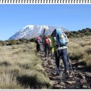 킬리만자로(5895m,아프리카 최고봉) 등반 : 호롬보 산장(3720m) ~ 키보 산장(4700m) 이미지