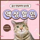 고스트전담마트