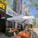 백두상회 이미지