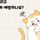 장호원동물병원