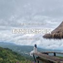 엘리 | 치앙마이 몬쨈 엘리핀팜 사이프레스레인 택시 투어 후기