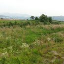 파주랜드공인중개사 이미지