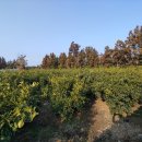 태흥3리 마을회관 이미지