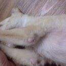 삼성참약사 약국 이미지