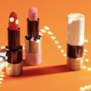 Rouge Hermès 새틴 샤이니 립스틱 / 전 색상 발색 후기 제형 추천 컬러 리필 케이스 리미티드 에디션...