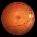 눈이야기 이미지