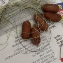 부평공원 이미지