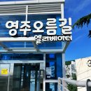 영주1동 원로의집 | 부산 영주동 오름길 엘리베이터 후기, 부산역에서 걸어갈 수 있는 산복도로 전망 명소