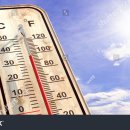 진주황포냉면 이미지