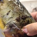 우성수산 이미지