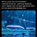 실시간 말 나오는 데이식스 콘서트 시제석.twt 이미지