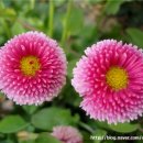 사파민원센터 이미지