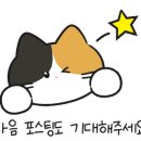 그린펫클럽 이미지