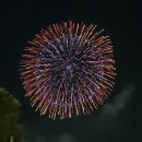 대교행운인력 | 2024 세계불꽃축제 마포대교 인근 관람 후기