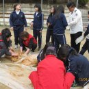 송탄중학교 이미지