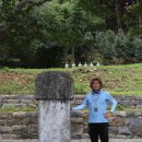 충화 선조대왕 태실비 이미지