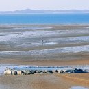 남당항로 이미지