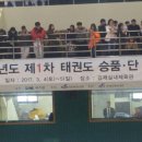 참사랑태권도교육관 이미지