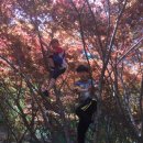 대장나무숲놀이터 이미지