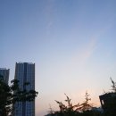 감나무 집 어린애 이미지