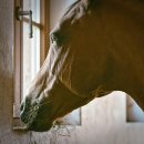 용수펜션 이미지