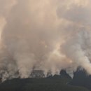 BC주 가뭄 위기…올해 산불 더 심각할 듯 이미지