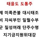 도통신 Daum카페
