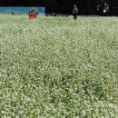 탑동농장 이미지