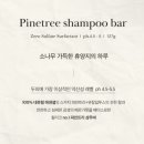 소나무파인트리(PINE TREE) 이미지