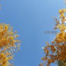 우리들의쉼터작은도서관 이미지